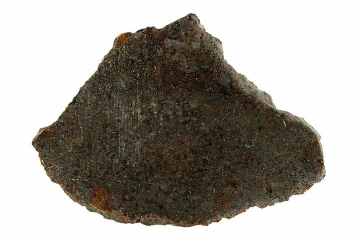 Polished Rafsa Angrite Meteorite Slice ( g) - Algeria #291759